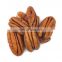 Mixed Nuts - Premium Natural Mix Dried Fruits Best Quality and Tasteful Nuts with Best Price