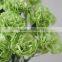 Durable Green Lady fresh cut carnation flower arrangements