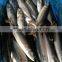 frozen pacific mackerel mackerel 300-500g
