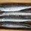 frozen spanish mackerel