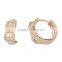Earring, Fashion Gold Jewelry Crystal Zircon Setting Stunning Pave Setting Brass Earring, Earring Jewelry Wholesale P9306