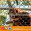 Flexible Stainless Steel Wire Rope Woven Mesh