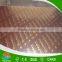 3mm Best Quality Laminated Birch Film Faced Plywood
