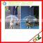 Hot sales!!!Pet umbrella