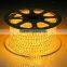 120V/240V 60 Led/m RGB Flexible SMD 5050 LED Strip Light with Flash bulb                        
                                                Quality Choice