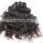 100% virgin human hair SGIHAIR