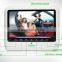 High quality classical good price pioneer headrest car dvd player for bmw e46