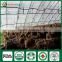 Fresh Dry Organic Edibal Mushroom Cultivation China Supplier Seller Shiitake Mushroom Growing Kit for Farm Garden