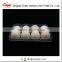 6 cell disposable plastic quail eggs tray
