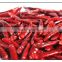 Tian ying dried red Chilli