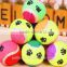 custom pet tennis balls for hot wholesale