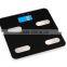 Electronic body fat scale