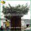 High Quality Fake Tree Artificial Banyan Tree for Sale