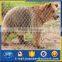 outdoor enclosure for x-tend Animal Enclosure Wire Fence