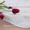  China hotselling waterproof matress protector with competitive price