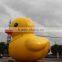 inflatable giant duck balloon for advertising F1001