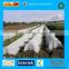 Polypropylene(PP) Spunbonded nonwoven Agro crop cover, ground cover