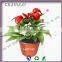 plastic blister garden soft flower pot
