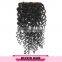 Free parting cheap deep curly 4*4 lace closure virgin brazilian human hair lace closure