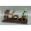 Great Choice Terrarium Reptile Starter Kit