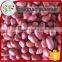 Wholesale peeled peanuts kernel