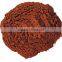 Pine Bark Extract with high quatity and competitive price