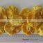 AD Process pineapple rings