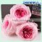 Wholesale Natural Flowers Preserved Austin Rose Head for Wedding Decoration 4-5cm Rose Head 8 pcs/box