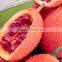 Kego Supply Fresh Gac Fruit With Competitive Price
