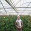 Commercial Greenhouse Plans