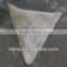 New Design on Sale Dumpling Machine From China Manufacturer With ISO,CE Approval