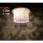 Contemporary Contracted Dome 4 Light Crystal Ceiling Lamp Amethystine Porch Corridor Acrylic Bedroom Parlor