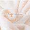 100% Polyester Hot Sale Warm Cozy Micro Soft Fabric Home Textile China Factory Solid Coral Fleece Glossy Household Blankets