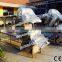 Fresh Chicken Meat Process Machine/ Duck Feet Cutting Machine