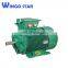11kv high voltage motor