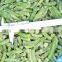 Sinocharm New Season Organic Fresh IQF Cut Green Beans Frozen Green Beans