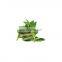 natural pure Andrographolide/andrographis paniculata extract