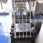DPP-Series Small Donkey-Hide Glue Blister Packing Machine