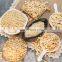 Roasted peanut peeling machine/Dry groundnut peeling machine/macadamia nut cutter and chopper