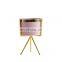 Modern Decor Simply Indoor Cylinder Succulent Cactus Pink Ceramic Flower Pots With Golden Metal Stand