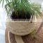 Eco Friendly Plant Wholesale Basketball Basket Flowers Pot Natural Round Insulation Flowerpot Seagrass Flower Pots & Planters