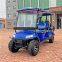 6-seater electric golf cart, beach golf cart for sale