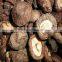 Natural Dry Shiitake Mushrooms /Dried Mushrooms