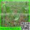 Strong Durable Trellis Netting Pea & Bean Support Net Tent Grow Net