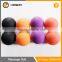 Body Therapy Professional Back Massage Ball