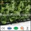 outdoor artificial boxwood fake bushes hedge mat