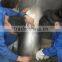 Titanium Stainless Steel Pipe Fittings Tees Reducer Gr 1 2 5 7 11 12 TP 304 316 904 Q235 Q345