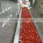 2016 new crop supply iqf strawberry