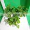 low cost daily life decor artificial small bonsai /bonsai plant for home decoration