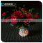 CE&ROHS mini christmas lights on a green wire Mini Copper light